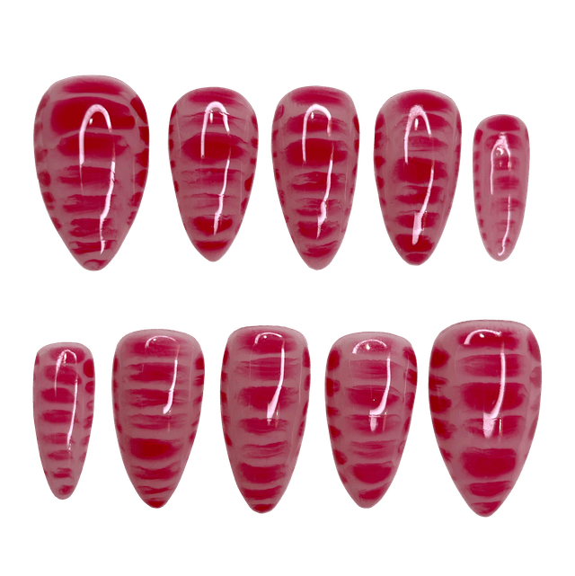 Disa